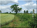 Footpath and footpath sign