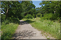 Path across Bookham Common