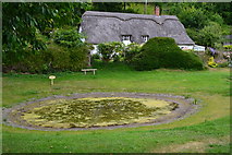 ST9417 : Village pond at Tollard Royal by David Martin