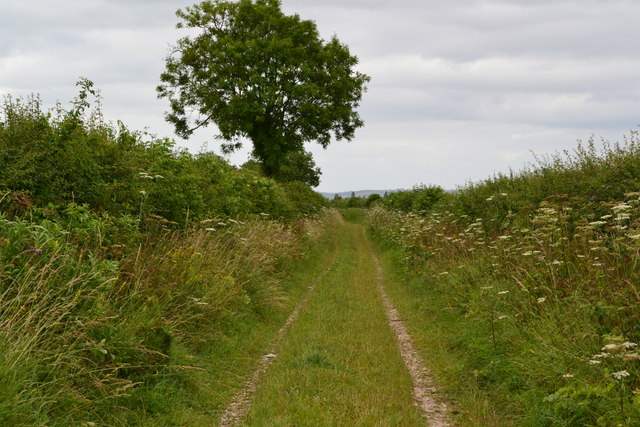 Benches Lane