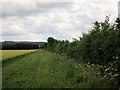 Field  edge  bridleway  to  level  crossing