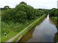 Trent & Mersey Canal viewed from the A527 road bridge