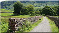 NY1700 : Bridleway at Dalegarth by Peter Trimming