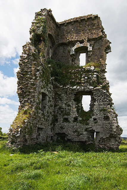 Castles of Munster: Ballagh, Tipperary (2)