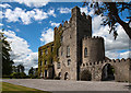 S1051 : Castles of Munster: Killough, Tipperary (2) by Mike Searle