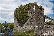 S2546 : Castles of Munster: Coolquill, Tipperary (3) by Mike Searle