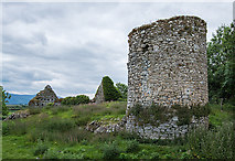 S0519 : Castles of Munster: Roosca, Tipperary (2) by Mike Searle