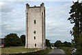 R9639 : Castles of Munster: Grantstown, Tipperary (1) by Mike Searle