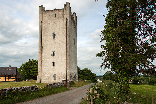 Castles of Munster: Grantstown, Tipperary (2)