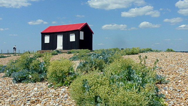 Hut with seashore plants