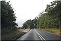 Marlow Road approaching Bisham