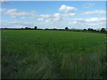 SO4599 : Grass field at Smethcott by Richard Law