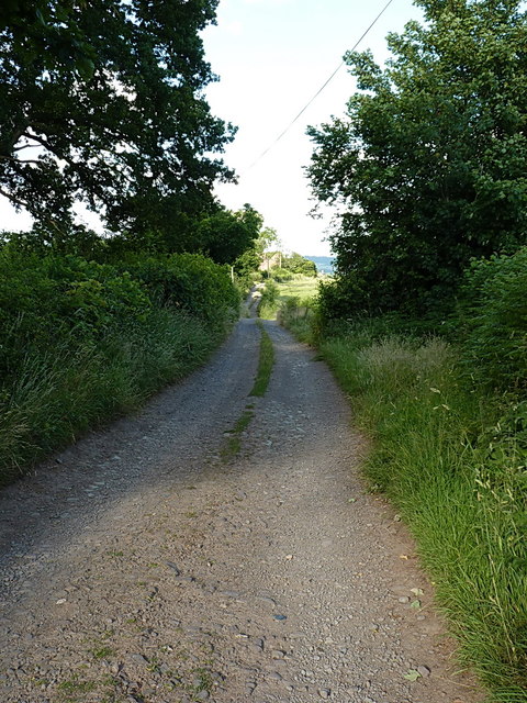 Track through Longnor Park towards Park Farm
