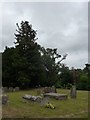 St James, Finchampstead: churchyard (2)