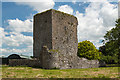 R4344 : Castles of Munster: Garraunboy, Limerick (1) by Mike Searle