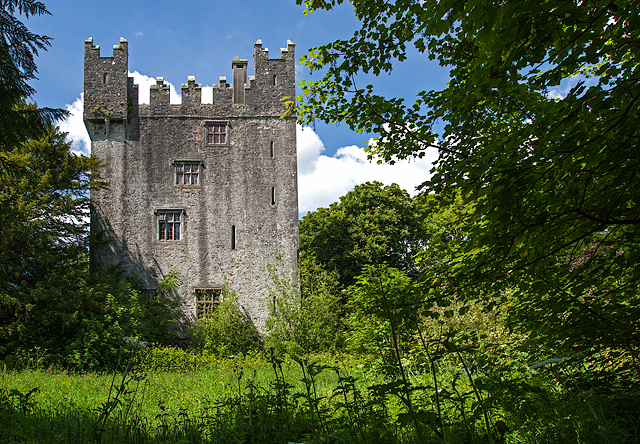 Castles of Munster: Castle Matrix, Limerick (2)