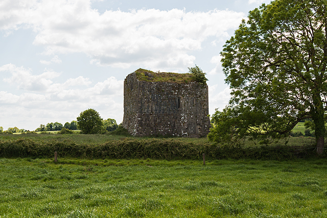 Castles of Munster: Ballyegnybeg, Limerick (1)