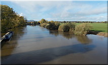 SO8540 : River Severn, Upton-upon-Severn by Jaggery