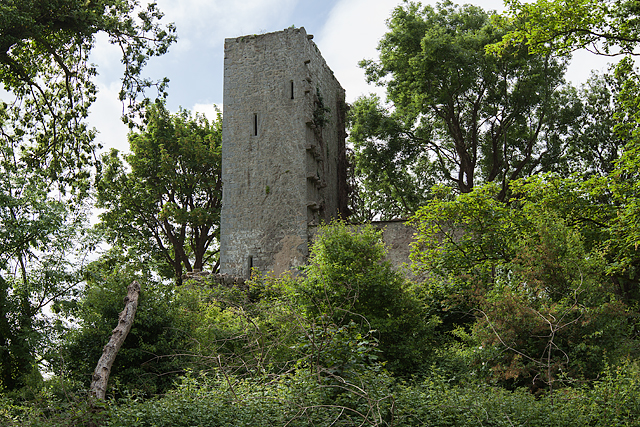 Castles of Munster: Cratloekeel, Clare (3)