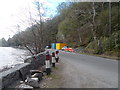 NN4801 : Roadside at Loch Ard by Dawgy