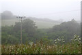 Farmland and woodland east of Welcombe, Devon