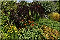 Parham House and Garden: Shrub border with a striking Berberis