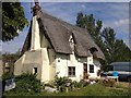 Thatched Cottage