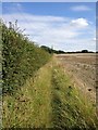 Footpath towards Keysoe church