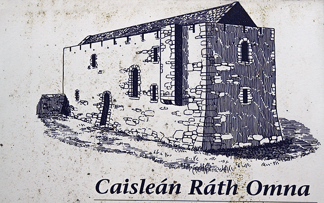 Castles of Leinster: Rathumney, Wexford (7)