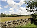 View north from the lane beside Partridge Close