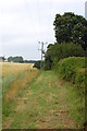 Footpath heading north from Tanfield Tye