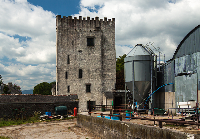 Castles of Leinster: Tibberaghny, Kilkenny (2)