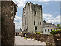 S4421 : Castles of Leinster: Tibberaghny, Kilkenny (3) by Mike Searle