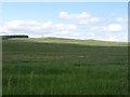 NU1408 : Rough grassland west of Freemans Hill by Graham Robson
