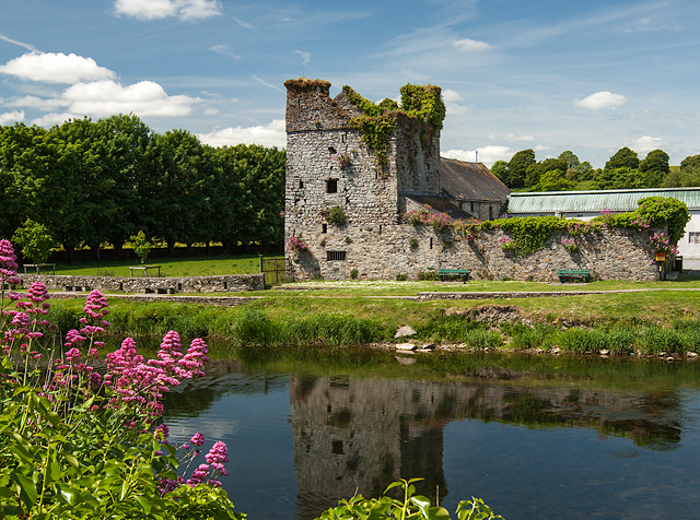 Castles of Leinster: Thomastown (Sweetman's), Kilkenny (1)