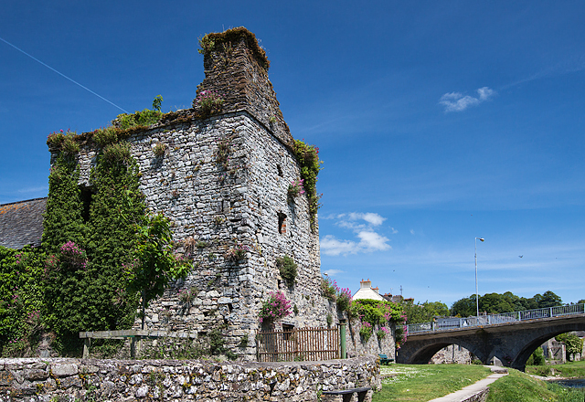 Castles of Leinster: Thomastown (Sweetman's), Kilkenny (2)