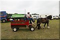 SU6479 : Pony & Cart by Bill Nicholls