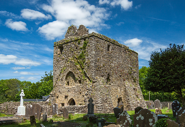 Castles of Leinster: Aghaviller, Kilkenny (1)