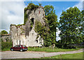 S3764 : Castles of Leinster: Kilrush, Kilkenny (1) by Mike Searle