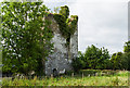 S3764 : Castles of Leinster: Kilrush, Kilkenny (2) by Mike Searle