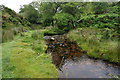 North Walla Brook