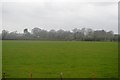 Farmland near Marston Magna