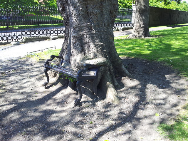 The Hungry Tree  at King's Inns