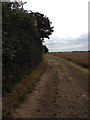 Bridleway from Southend Farm