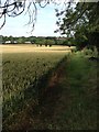 Footpath near Poplar Farm, Wilden