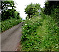 Track north into National Trust land, St Ishmael