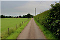 Access Lane Heading towards Low Farm