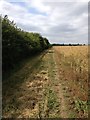 Footpath near Ravensden