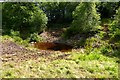 Cattle Pond