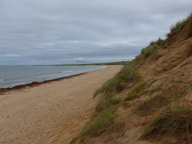 Dunes at Fraserburgh Bay